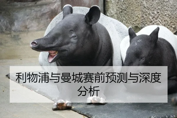 利物浦与曼城赛前预测与深度分析